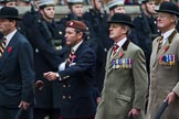 Remembrance Sunday at the Cenotaph 2015: Group B24, Queen's Royal Hussars (The Queen's Own & Royal Irish).
Cenotaph, Whitehall, London SW1,
London,
Greater London,
United Kingdom,
on 08 November 2015 at 11:41, image #185