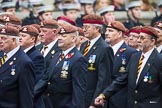 Remembrance Sunday at the Cenotaph 2015: Group B25, Kings Royal Hussars Regimental Association.
Cenotaph, Whitehall, London SW1,
London,
Greater London,
United Kingdom,
on 08 November 2015 at 11:41, image #198