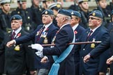 Remembrance Sunday at the Cenotaph 2015: C2, Royal Air Force Regiment Association.
Cenotaph, Whitehall, London SW1,
London,
Greater London,
United Kingdom,
on 08 November 2015 at 11:47, image #427