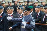 Remembrance Sunday at the Cenotaph 2015: C2, Royal Air Force Regiment Association.
Cenotaph, Whitehall, London SW1,
London,
Greater London,
United Kingdom,
on 08 November 2015 at 11:47, image #430