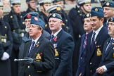 Remembrance Sunday at the Cenotaph 2015: Group C11, Royal Air Force & Defence Fire Services Association.
Cenotaph, Whitehall, London SW1,
London,
Greater London,
United Kingdom,
on 08 November 2015 at 11:48, image #482