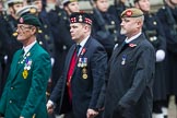 Remembrance Sunday at the Cenotaph 2015: Group D3, Ulster Defence Regiment.
Cenotaph, Whitehall, London SW1,
London,
Greater London,
United Kingdom,
on 08 November 2015 at 11:51, image #602