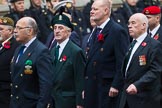 Remembrance Sunday at the Cenotaph 2015: Group D5, North Irish Horse & Irish Regiments Old Comrades
Association.
Cenotaph, Whitehall, London SW1,
London,
Greater London,
United Kingdom,
on 08 November 2015 at 11:52, image #617