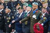 Remembrance Sunday at the Cenotaph 2015: Group D20, Bond Van Wapenbroeders.
Cenotaph, Whitehall, London SW1,
London,
Greater London,
United Kingdom,
on 08 November 2015 at 11:55, image #712