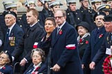 Remembrance Sunday at the Cenotaph 2015: Group D21, Polish Ex-Combatants Association in Great Britain Trust Fund.
Cenotaph, Whitehall, London SW1,
London,
Greater London,
United Kingdom,
on 08 November 2015 at 11:55, image #719