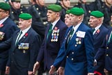 Remembrance Sunday at the Cenotaph 2015: Group D27, Foreign Legion Association.
Cenotaph, Whitehall, London SW1,
London,
Greater London,
United Kingdom,
on 08 November 2015 at 11:56, image #740