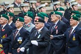 Remembrance Sunday at the Cenotaph 2015: Group E1, Royal Marines Association.
Cenotaph, Whitehall, London SW1,
London,
Greater London,
United Kingdom,
on 08 November 2015 at 11:58, image #792