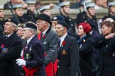Remembrance Sunday at the Cenotaph 2015: Group E2, Royal Naval Association.
Cenotaph, Whitehall, London SW1,
London,
Greater London,
United Kingdom,
on 08 November 2015 at 11:58, image #809