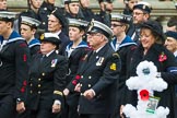 Remembrance Sunday at the Cenotaph 2015: Group E3, Merchant Navy Association.
Cenotaph, Whitehall, London SW1,
London,
Greater London,
United Kingdom,
on 08 November 2015 at 11:59, image #819
