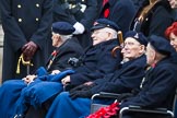 Remembrance Sunday at the Cenotaph 2015: Group E22, Royal Naval Benevolent Trust.
Cenotaph, Whitehall, London SW1,
London,
Greater London,
United Kingdom,
on 08 November 2015 at 12:01, image #919