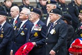 Remembrance Sunday at the Cenotaph 2015: Group E25, Submariners Association.
Cenotaph, Whitehall, London SW1,
London,
Greater London,
United Kingdom,
on 08 November 2015 at 12:02, image #927