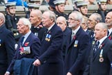 Remembrance Sunday at the Cenotaph 2015: Group E27, Broadsword Association.
Cenotaph, Whitehall, London SW1,
London,
Greater London,
United Kingdom,
on 08 November 2015 at 12:02, image #944