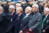 Remembrance Sunday at the Cenotaph 2015: Group E31, The Fisgard Association.
Cenotaph, Whitehall, London SW1,
London,
Greater London,
United Kingdom,
on 08 November 2015 at 12:03, image #967