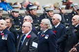 Remembrance Sunday at the Cenotaph 2015: Group E38, Fleet Air Arm Safety Equipment & Survival Association.
Cenotaph, Whitehall, London SW1,
London,
Greater London,
United Kingdom,
on 08 November 2015 at 12:03, image #1000
