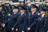 Remembrance Sunday at the Cenotaph 2015: Group M25, Royal Society for the Prevention of Cruelty to Animals.
Cenotaph, Whitehall, London SW1,
London,
Greater London,
United Kingdom,
on 08 November 2015 at 12:17, image #1594