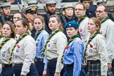 Remembrance Sunday at the Cenotaph 2015: Group M50, Scout Association.
Cenotaph, Whitehall, London SW1,
London,
Greater London,
United Kingdom,
on 08 November 2015 at 12:21, image #1726