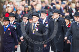 Remembrance Sunday at the Cenotaph 2015: The first column of veterans marching along Whitehall. Image #25, 08 November 2015 10:16 Whitehall, London, UK