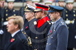 Remembrance Sunday at the Cenotaph 2015: HRH Prince Henry of Wales during the Cenotaph ceremony 2015. Prince Harry is wearing the uniform of  a Captain in the Blues and Royals Household Cavelry Regiment.
To his left is Prince William, to his right the Duke of York. Image #145, 08 November 2015 10:59 Whitehall, London, UK