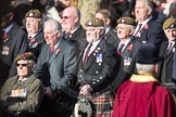 March Past, Remembrance Sunday at the Cenotaph 2016.
Cenotaph, Whitehall, London SW1,
London,
Greater London,
United Kingdom,
on 13 November 2016 at 12:39, image #81