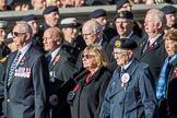 Fleet Air Arm Association  (Group E8, 5 members) during the Royal British Legion March Past on Remembrance Sunday at the Cenotaph, Whitehall, Westminster, London, 11 November 2018, 11:42.