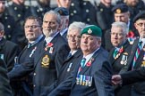 The South Atlantic Medal Association 1982 (Group F17, 150 members) during the Royal British Legion March Past on Remembrance Sunday at the Cenotaph, Whitehall, Westminster, London, 11 November 2018, 11:52.