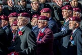 The Parachute Regimental Association (Group A21, 101 members) during the Royal British Legion March Past on Remembrance Sunday at the Cenotaph, Whitehall, Westminster, London, 11 November 2018, 11:59.
