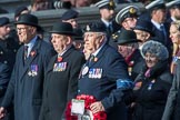 RAVC and RADC Associations (Group B2, 27 members) during the Royal British Legion March Past on Remembrance Sunday at the Cenotaph, Whitehall, Westminster, London, 11 November 2018, 12:05.