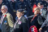 The Royal Artillery Association (Group B35, 32 members) during the Royal British Legion March Past on Remembrance Sunday at the Cenotaph, Whitehall, Westminster, London, 11 November 2018, 12:13.