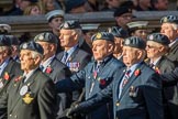 Royal Air Forces Association (Group C1, 155 members) during the Royal British Legion March Past on Remembrance Sunday at the Cenotaph, Whitehall, Westminster, London, 11 November 2018, 12:14.