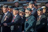 Royal Air Forces Association (Group C1, 155 members) during the Royal British Legion March Past on Remembrance Sunday at the Cenotaph, Whitehall, Westminster, London, 11 November 2018, 12:14.