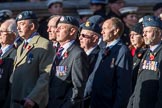 Royal Air Forces Association (Group C1, 155 members) during the Royal British Legion March Past on Remembrance Sunday at the Cenotaph, Whitehall, Westminster, London, 11 November 2018, 12:14.