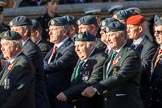 Harrier Force Association (Group C25, 100 members) during the Royal British Legion March Past on Remembrance Sunday at the Cenotaph, Whitehall, Westminster, London, 11 November 2018, 12:18.