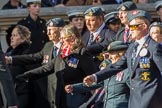 Royal Air Forces Association (Caduceus) branch (Group C31, 22 members) during the Royal British Legion March Past on Remembrance Sunday at the Cenotaph, Whitehall, Westminster, London, 11 November 2018, 12:19.