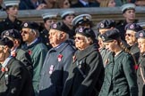 Royal Observer Corps Association (Group C38, 67 members) during the Royal British Legion March Past on Remembrance Sunday at the Cenotaph, Whitehall, Westminster, London, 11 November 2018, 12:20.