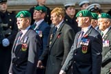 Commando Veterans Association  (Group D12, 42 members) during the Royal British Legion March Past on Remembrance Sunday at the Cenotaph, Whitehall, Westminster, London, 11 November 2018, 12:22..