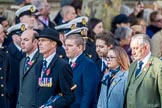 Commonwealth War Graves Commission (Group M50, 19 members) during the Royal British Legion March Past on Remembrance Sunday at the Cenotaph, Whitehall, Westminster, London, 11 November 2018, 12:31.