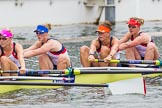 Henley Royal Regatta 2013, Thursday.
River Thames between Henley and Temple Island,
Henley-on-Thames,
Berkshire,
United Kingdom,
on 04 July 2013 at 12:45, image #272