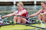 Henley Royal Regatta 2013, Thursday.
River Thames between Henley and Temple Island,
Henley-on-Thames,
Berkshire,
United Kingdom,
on 04 July 2013 at 13:03, image #300