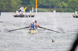 Henley Royal Regatta 2013, Saturday: Race No. 8 for the Prince Albert Challenge Cup, Durham University v Imperial College London 'A'. Image #177, 06 July 2013 11:11 River Thames, Henley on Thames, UK