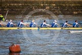 The Boat Race season 2013 - fixture CUBC vs Leander: The Goldie vs Imperial BC fixture..
River Thames Tideway between Putney Bridge and Mortlake,
London SW15,

United Kingdom,
on 02 March 2013 at 15:23, image #35