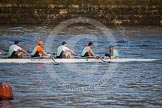 The Boat Race season 2013 - fixture CUBC vs Leander: The Goldie vs Imperial BC fixture..
River Thames Tideway between Putney Bridge and Mortlake,
London SW15,

United Kingdom,
on 02 March 2013 at 15:23, image #37