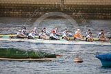 The Boat Race season 2013 - fixture CUBC vs Leander: The Goldie vs Imperial BC fixture..
River Thames Tideway between Putney Bridge and Mortlake,
London SW15,

United Kingdom,
on 02 March 2013 at 15:23, image #47