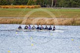 The Boat Race season 2013 - fixture OUWBC vs Olympians: In the Oxford (OUWBC) reserve boat Osiris cox Sophie Shawdon, stroke Emily Chittock, 7 Annika Bruger, 6 Caitlin Goss, 5 Rachel Purkess, 4 Eleanor Darlington, 3 Hannah Ledbury, 2 Elspeth Cumber and at bow Coralie Viollet-Djelassi..
Dorney Lake,
Dorney, Windsor,
Buckinghamshire,
United Kingdom,
on 16 March 2013 at 11:49, image #94