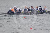 The Women's Boat Race and Henley Boat Races 2013.
Dorney Lake,
Dorney, Windsor,
Buckinghamshire,
United Kingdom,
on 24 March 2013 at 15:40, image #525