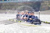 The Boat Race season 2013 -  Tideway Week (Friday) and press conferences.
River Thames,
London SW15,

United Kingdom,
on 29 March 2013 at 11:24, image #108
