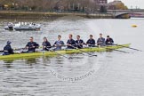 The Boat Race 2013: The crew of the Oxford reserve boat Isis getting ready for the Isis/Goldie race, here cox Laurence Harvey, stroke Thomas Watson, 7 seat Rev'd James Stephenson, 6 Benjamin French, 5 Joseph Dawson, 4 William Zeng, 3 Dr Alexander Woods, 2 Nicholas Hazell, and at bow Iain Mandale..
Putney,
London SW15,

United Kingdom,
on 31 March 2013 at 15:17, image #121