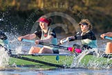 The Boat Race season 2014 - Women's Trial VIIIs(CUWBC, Cambridge): Nudge Nudge: 4 Catherine Foot, 3 Hannah Evans..
River Thames between Putney Bridge and Mortlake,
London SW15,

United Kingdom,
on 19 December 2013 at 14:07, image #379