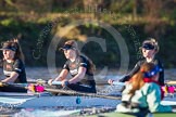 The Boat Race season 2014 - Women's Trial VIIIs(CUWBC, Cambridge): Wink Wink: 5 Caroline Reid, 4 Sara Lackner, 3 Hannah Roberts..
River Thames between Putney Bridge and Mortlake,
London SW15,

United Kingdom,
on 19 December 2013 at 14:07, image #383