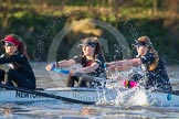 The Boat Race season 2014 - Women's Trial VIIIs(CUWBC, Cambridge): Wink Wink: 6 Fiona Macklin, 5 Caroline Reid, 4 Sara Lackner..
River Thames between Putney Bridge and Mortlake,
London SW15,

United Kingdom,
on 19 December 2013 at 14:07, image #384