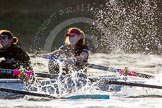 The Boat Race season 2014 - Women's Trial VIIIs(CUWBC, Cambridge): Wink Wink: Bow Ella Barnard..
River Thames between Putney Bridge and Mortlake,
London SW15,

United Kingdom,
on 19 December 2013 at 14:20, image #501